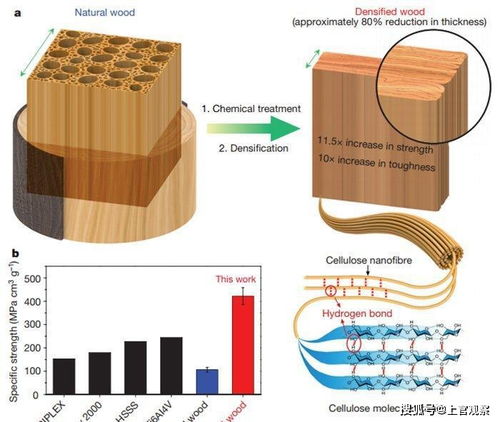 美華人科學家發明 超級木材 ,極其廉價能擋子彈,秒殺鈦合金