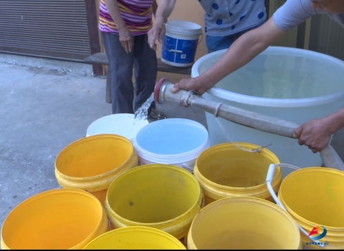 持續晴熱高溫 重慶豐都 銅梁等地保障群眾生產生活用水鳳凰網重慶