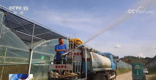 各地正多方施策戰(zhàn)高溫 保障蔬菜生產(chǎn)供應(yīng)