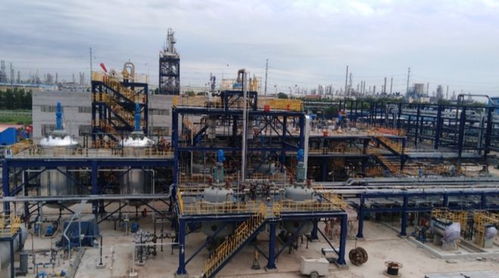 我國獨有 內含 銀絲 被剝皮還能活,老農 這是 植物黃金