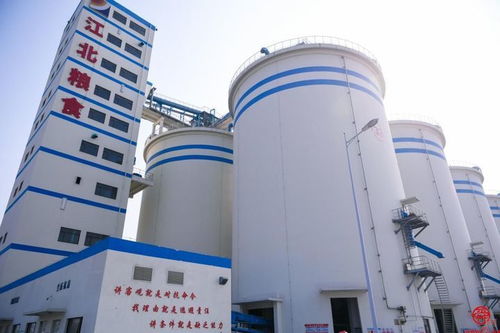 新質生產力賦能山東糧企 打造糧食產業高質量發展 動力引擎